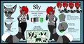 Sly Dao  -my personal fursona  by BostonBabe