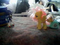 Fluttershy and Controlled Boom Sonic 