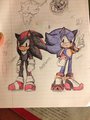 Sonic and Shadow switch role