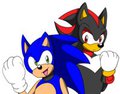 Sonic and Shadow