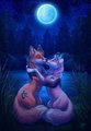 Romantic Night by HornyFox