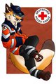 Anyone Need A Medic ? by Alextheflufffox