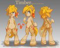 Timber - Pony Reference Sheet