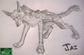 (Gift Art) 10 minute jackal by Mint