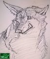 (Gift Art) 5 min pen doodle for Bearpaw