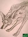 coyote wheee doodle by Mint