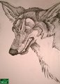(Gift Art) Rook Werewolf Portrait by Mint
