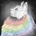 Fluffy rainbow