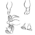 Paw Tutorials (Feral Disney Bunnies Style) by ForestGuardian