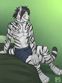 Tigertau - Shorts by tsaiwolf