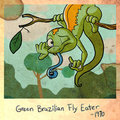 Green Brazilian Fly Eater by technicolorpie