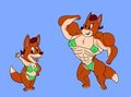 Little Toon Tanks Challenge - Foxy Loxy Bulks Up! (clean)