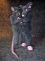 Rodent Fursuit Photoshoot--Rattus and Ziggy 