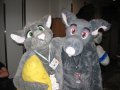 Rattus and Ziggy at FurDU 