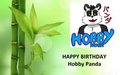 Birthday E-card for HobbyPanda by MaxHaruKitsune