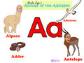 Nicolas Cage's Animals of the Alphabet by craftswitch