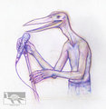 Pterosaur singer by CryptidCrafter