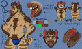 Oli commission reference