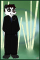 Circle panda