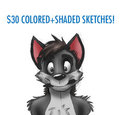 $30 Colored Sketches!