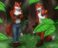 Have You Forgotten Something While Skinny Dipping In The Lake? by JasonWerefox
