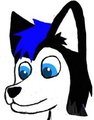 GIFT ART : Dodger Display Icon by coltonwulfpaws
