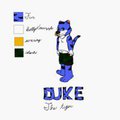 Duke reference by Blimpfurry