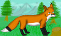 The Fox in the forest