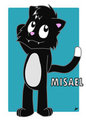 Misael the cat
