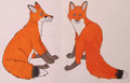 Traditionally drawn foxes