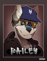 Fursuitbadge Bailey by Flookie