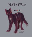 Character for sale! ~Nether~ by NinjasHeart