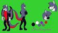 blackkingclaw reference sheet by blackkingclaw