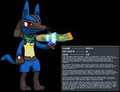 Character bio - Riky the Lucario by flamethedragon