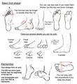 Foot tutorial