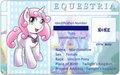 Character Card : Marshmallow by vavacung