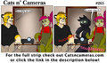 Cats n Cameras Strip #265 - An eye roll from the shadows