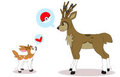 C : sawbuck and deerling