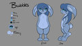 Bubbles - Reference Sheet by Yuukon