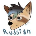 Russian the Raccoon