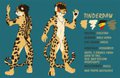 Tinderpaw Refsheet by tinderpaw