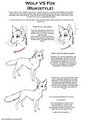 Wolf VS Fox  (Rukistyle) by RukiFox