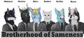 Brotherhood of Sameness by Snags