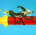 Coyote Rocket