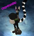MT - Another Cute Ringtail by ShanetheFreestyler