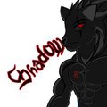 Shadow the Wolf [Old Picture] by ForestGuardian