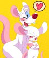 Pinky & the Brain~ by sssonic2