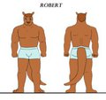 Bonnie and CO: Robert reference sheet by BonnieandCo