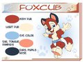 Foxcub simple character sheet