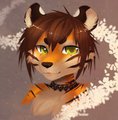 [Gift] Timid Tiger